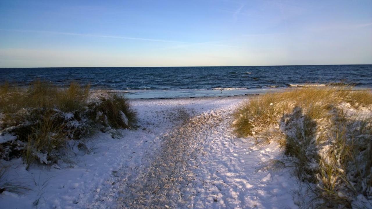 Fewo Himmel& Meer - Nur 300M Vom Meer Ostseebad Kühlungsborn Екстериор снимка